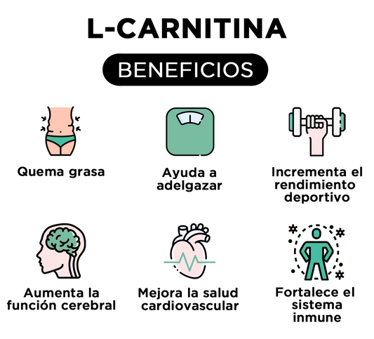 L-carnitina: ¿La clave para quemar grasa o mito deportivo?