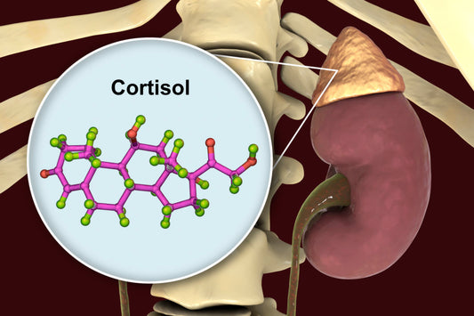 ¿Es el cortisol tu peor enemigo? Descubre cómo controlarlo y mejorar tu salud