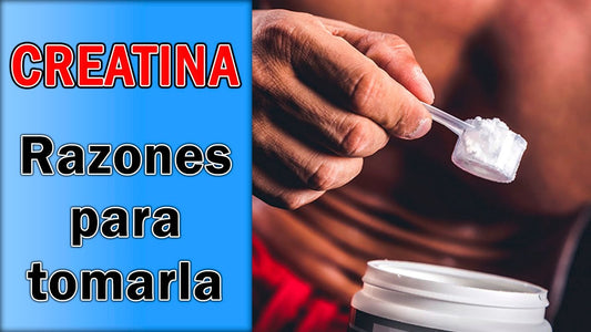 monohidrato creatina el gran secreto?