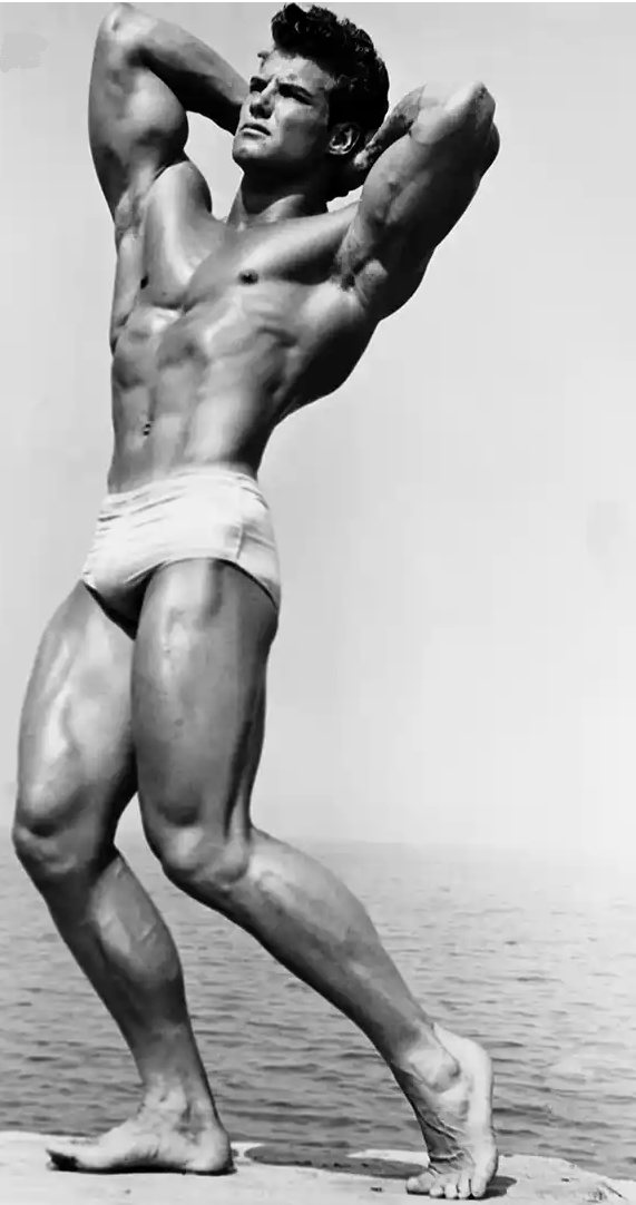 La simetría muscular y proporción muscular