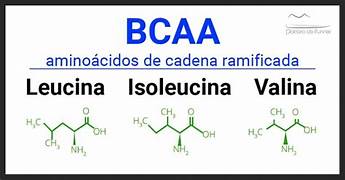 BCAA:  Añádelos si quieres pasar al siguiente nivel