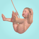 Idle 9 Months Logo