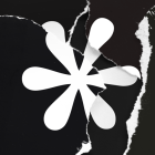 Song Of Bloom Logo